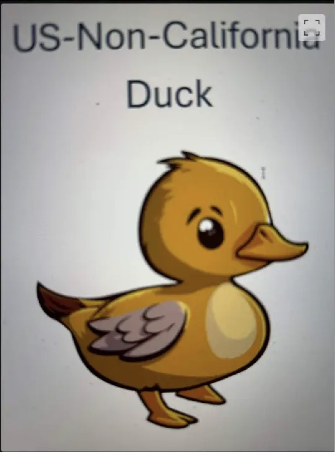 Picture of Duck Accidentally Sent to Stripe Jobs Removed